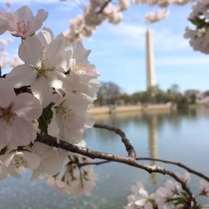 Meet your Posher, Aimee